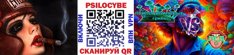 Псилоцибиновые грибы ЛСД  Жиздра 