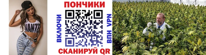 Бошки марихуана Amnesia  Жиздра 
